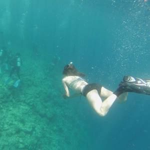 Meet your Posher, Carina